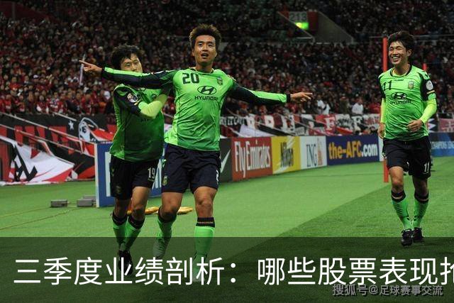 三季度业绩剖析：哪些股票表现抢眼，哪些陷入困境？